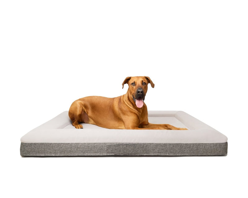 Fur King "Ortho" Orthopedic Dog Bed