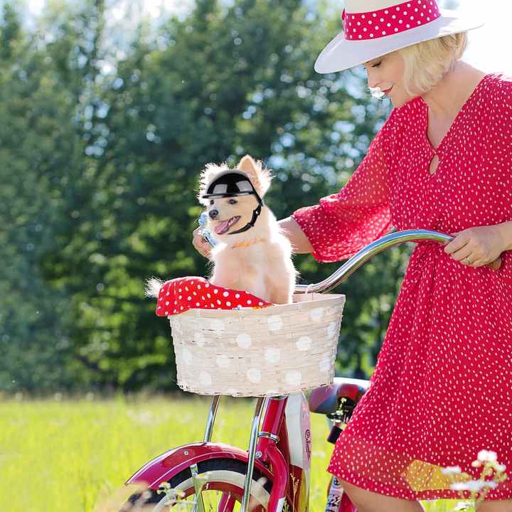 Pet Safety Helmet – Stylish Protective Headgear for Dogs