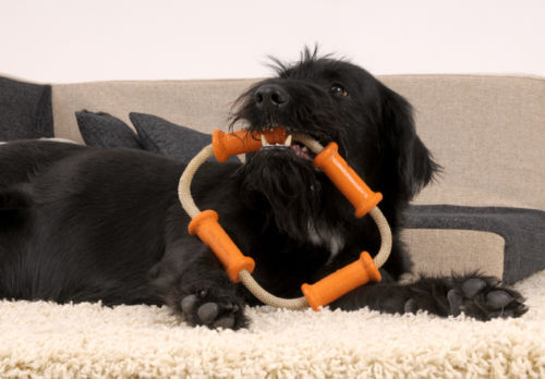major-dog-tussle-dummy-dog-toy-small-tug-toy