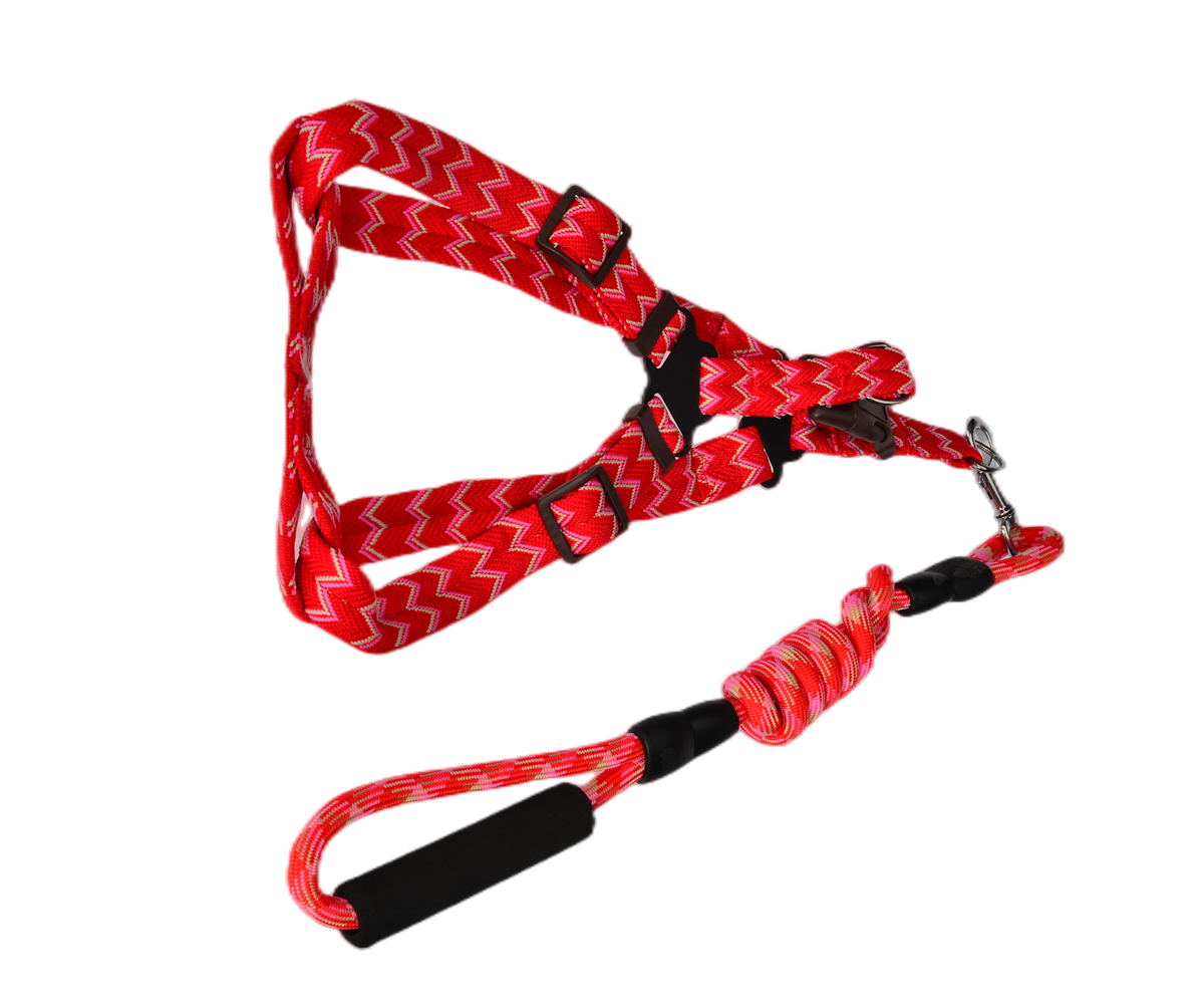 yes4pets-2-x-medium-pet-dog-cat-puppy-kitten-rabbit-dog-harness-collar-leash-lead-5-color